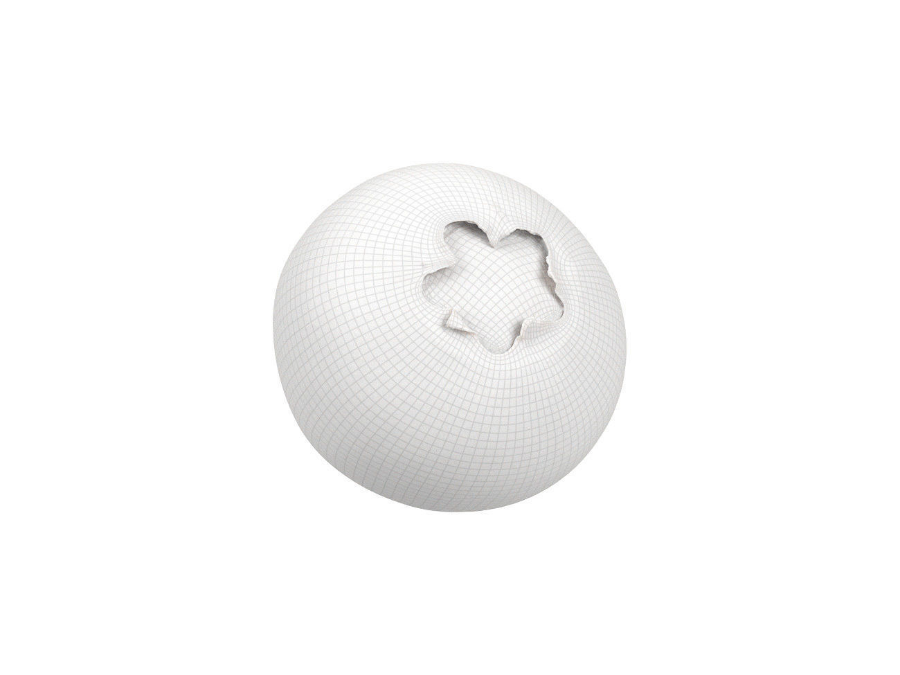 Photorealistic Blueberry 3D Scan 3D model_8