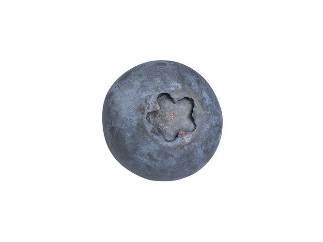 Photorealistic Blueberry 3D Scan 3D model 6