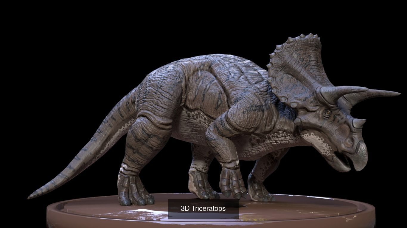 3D Dinosaurs Collection 01 _3