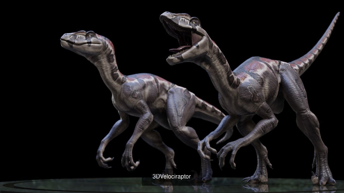 3D Dinosaurs Collection 01 _2