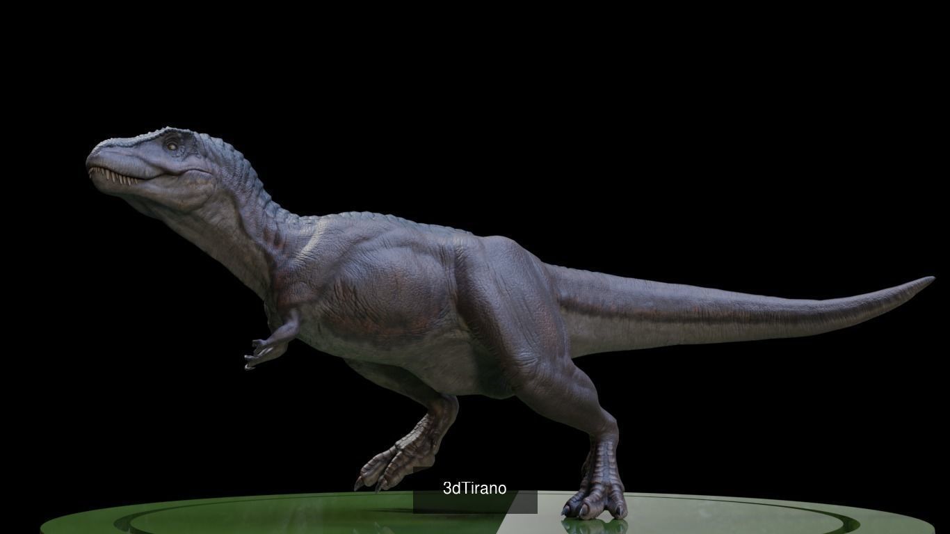 3D Dinosaurs Collection 01 _1