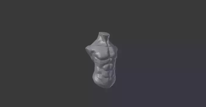 Human torso Free low-poly 3D model