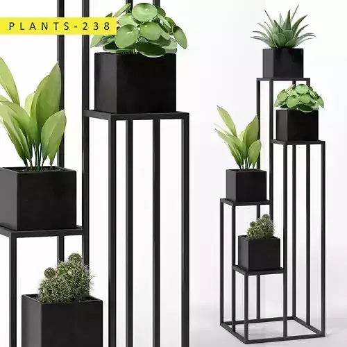 PLANTS 238