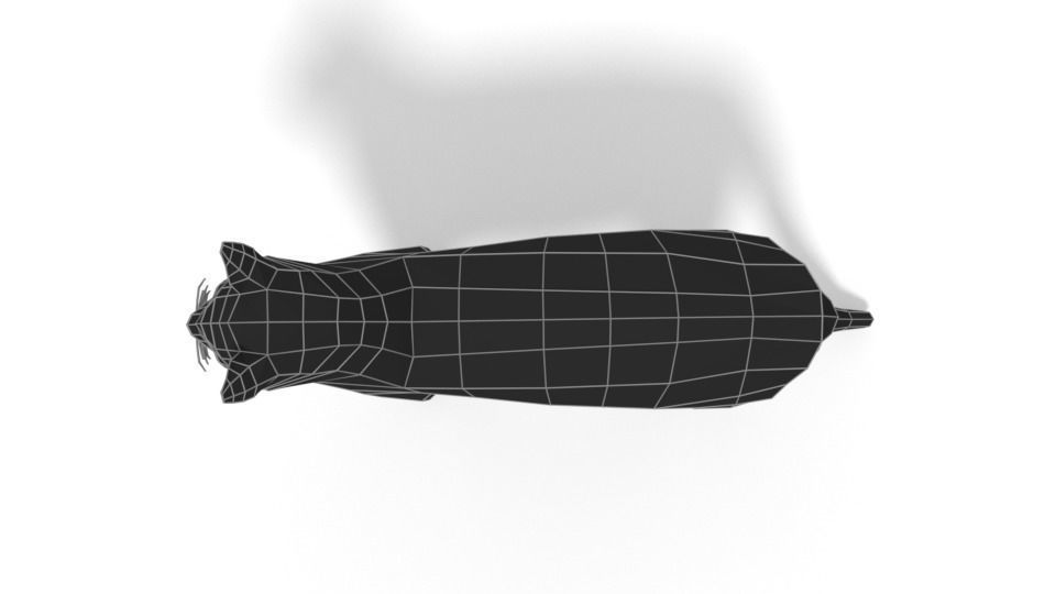 Low Poly Cartoon Cat Low-poly 3D model_15