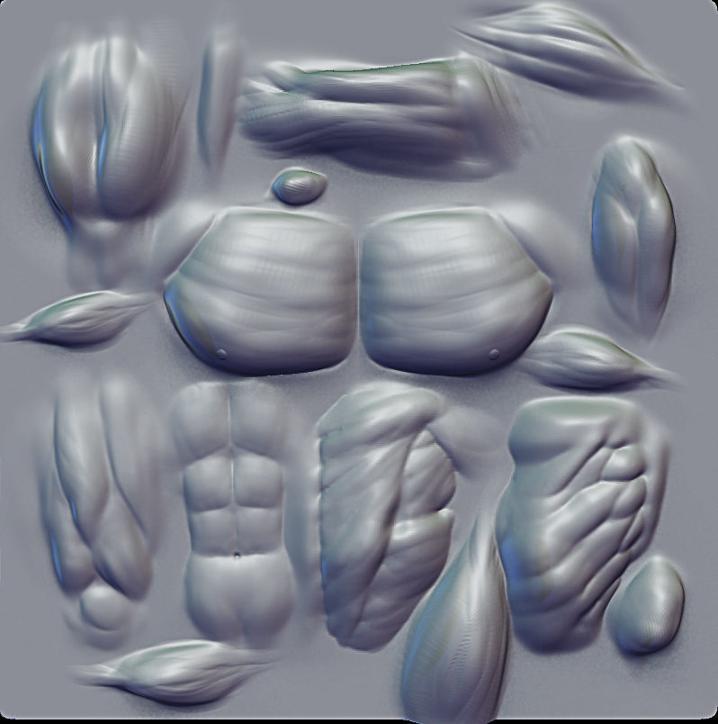 Muscles Tool For Zbrush VDM 3D model_2