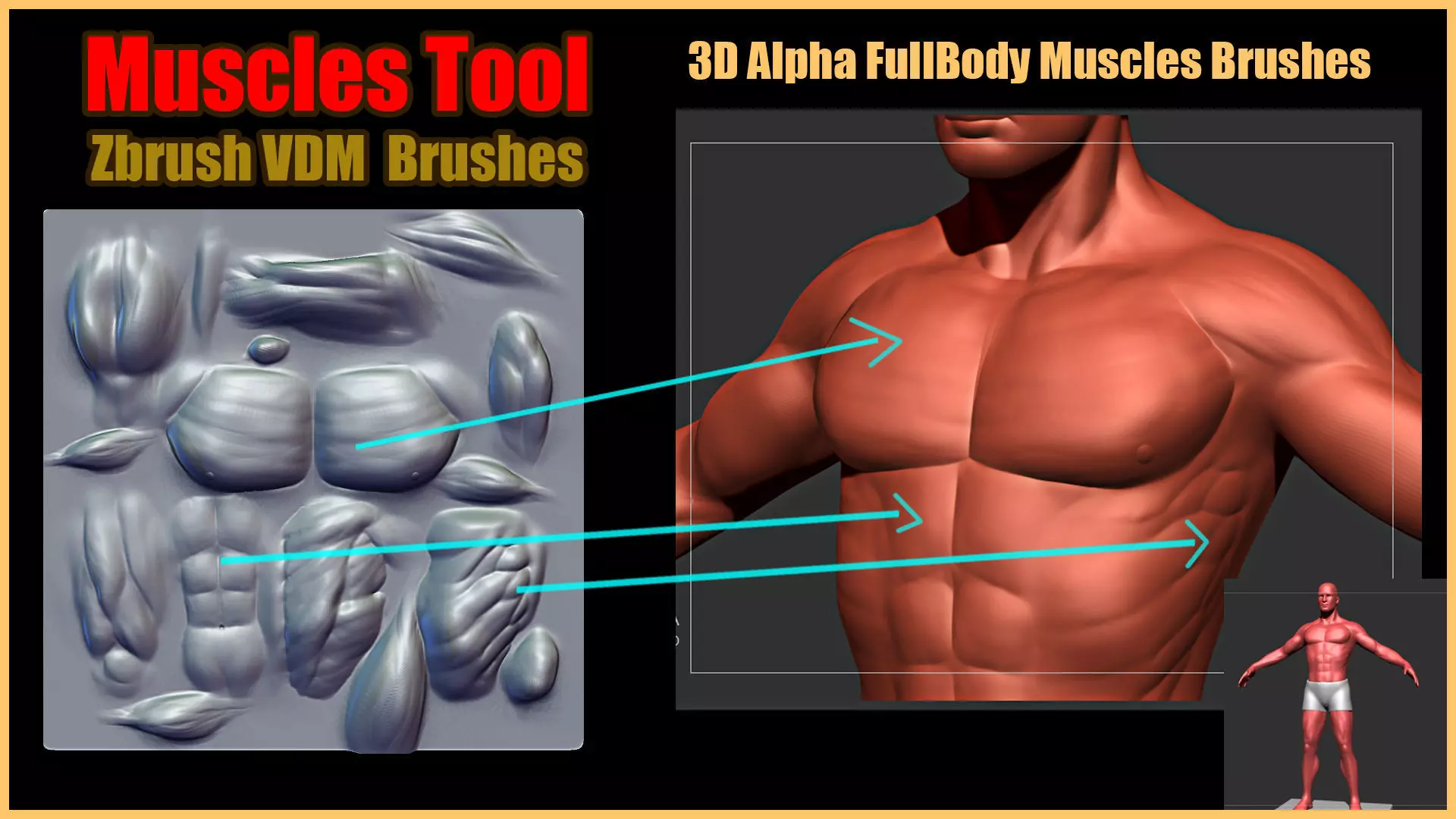 Muscles Tool For Zbrush VDM 3D model_0