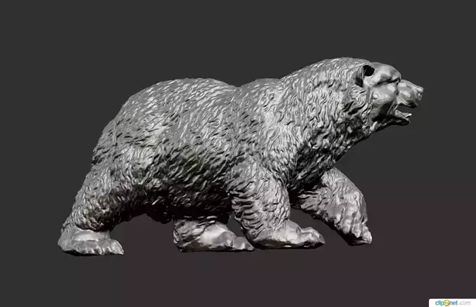 Bear 00