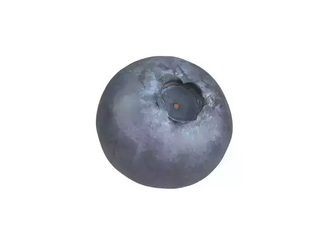 Photorealistic Blueberry 3D Scan 2 3D model