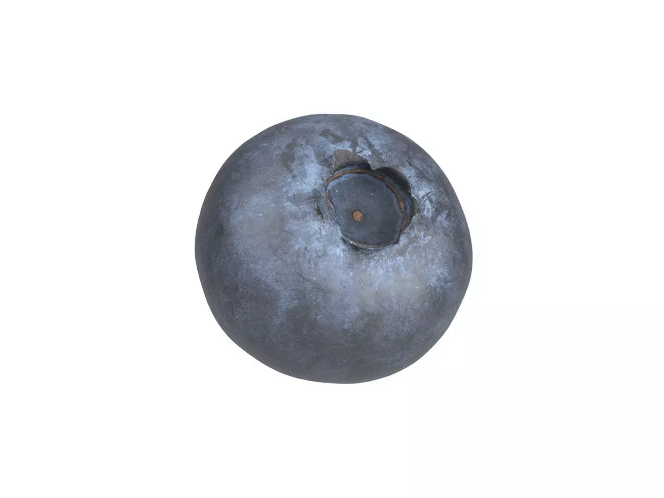 Photorealistic Blueberry 3D Scan 2 3D model