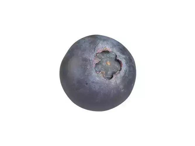 Photorealistic Blueberry 3D Scan 3 3D model