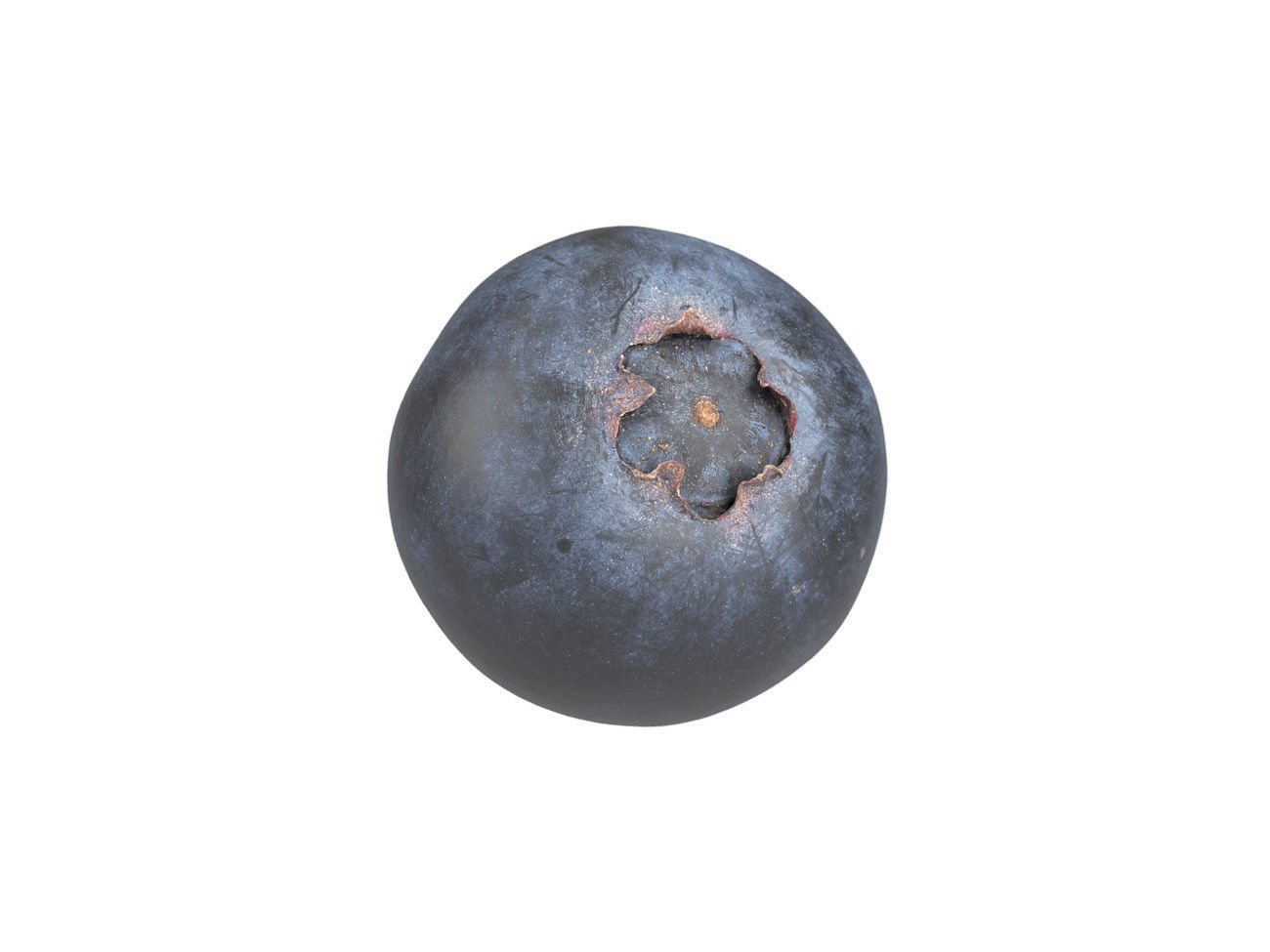 Photorealistic Blueberry 3D Scan 3