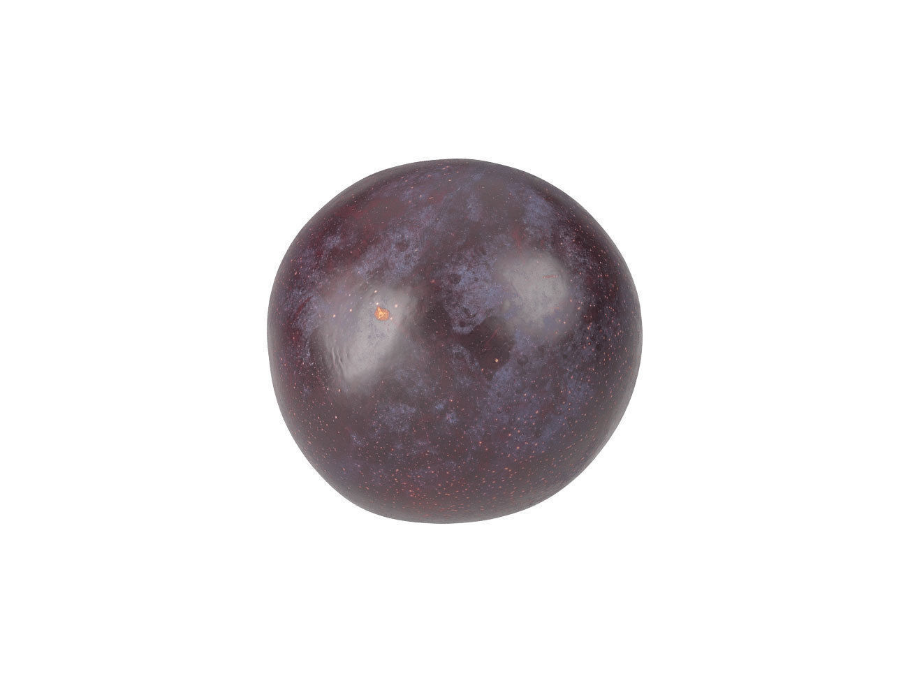 Photorealistic Plum 3D Scan 2 3D model_2