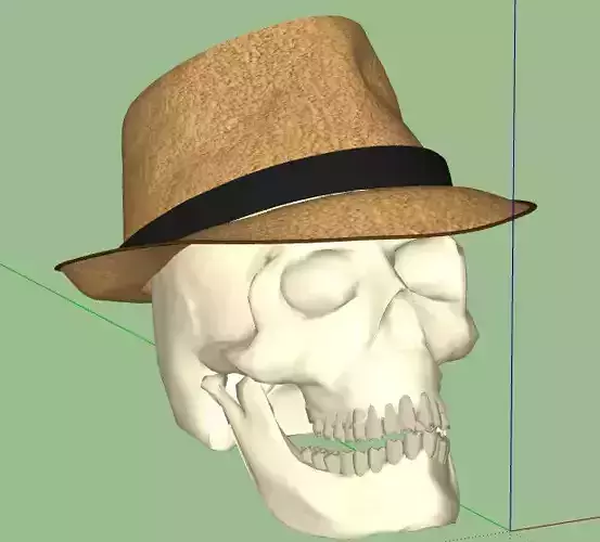 Skull with hat