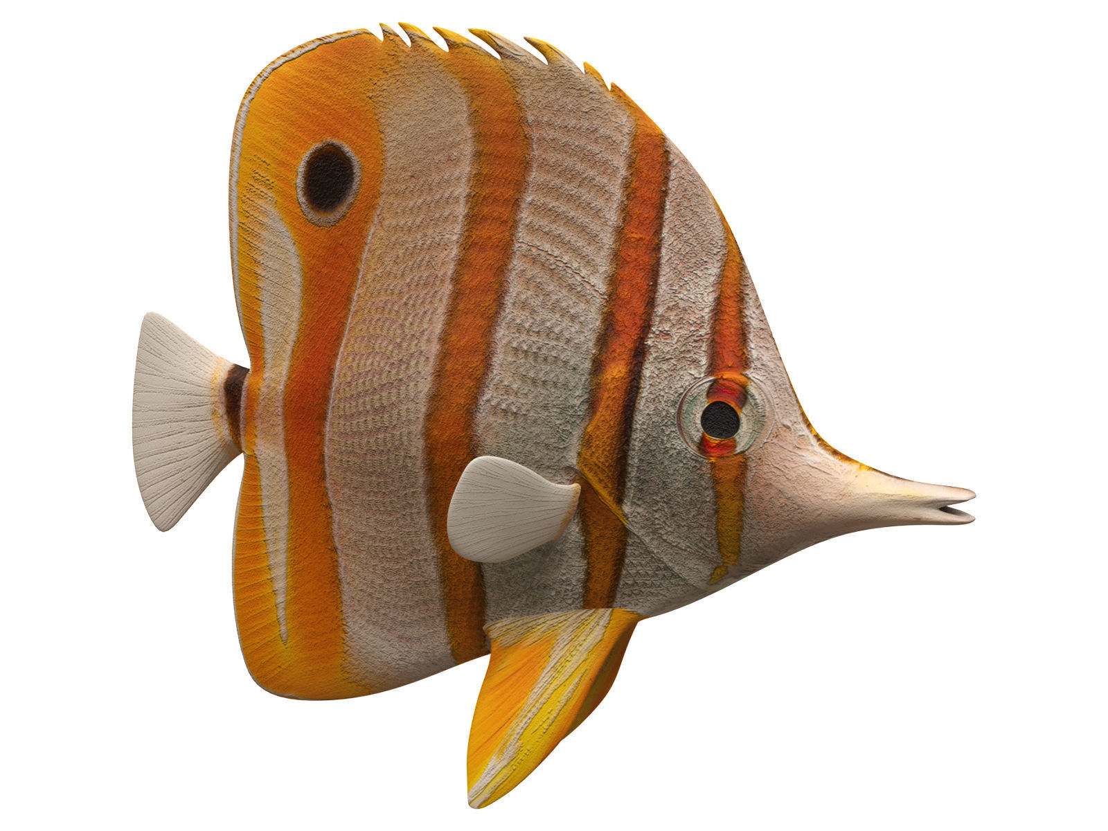 butterfly fish Low-poly 3D model_2