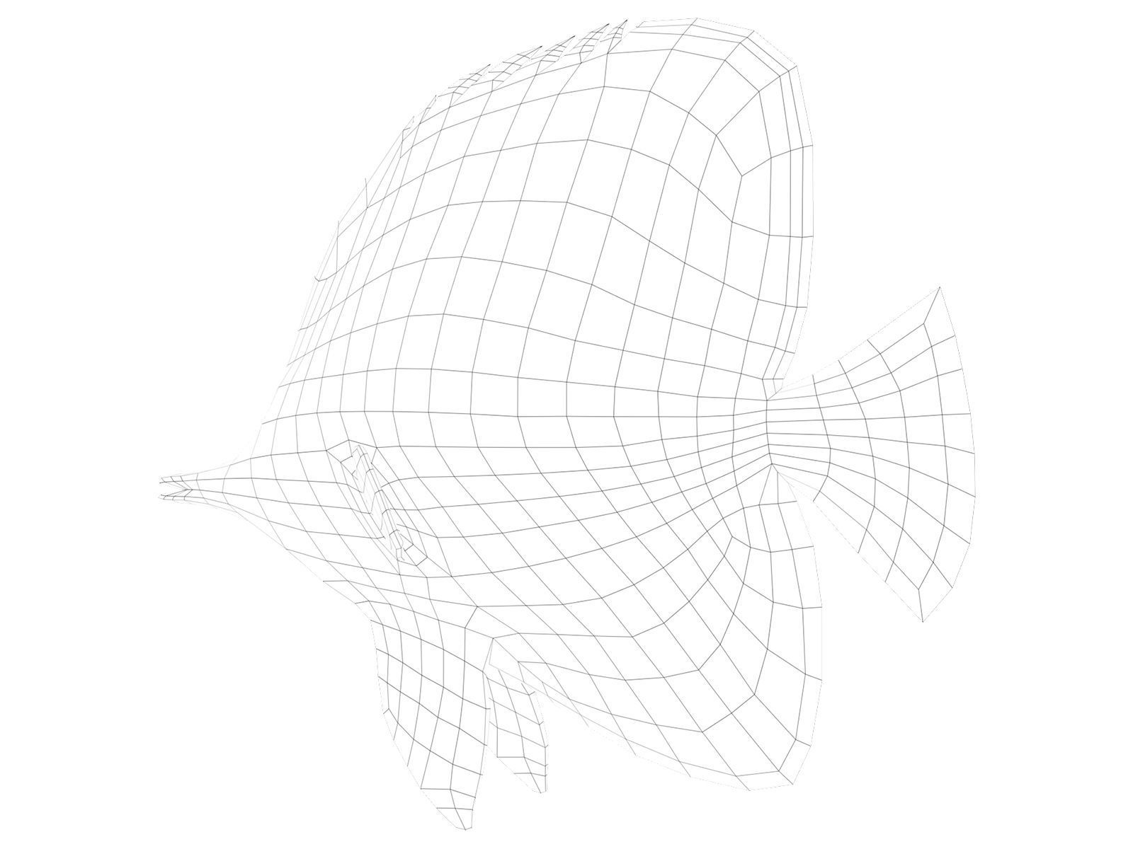 butterfly fish Low-poly 3D model_17