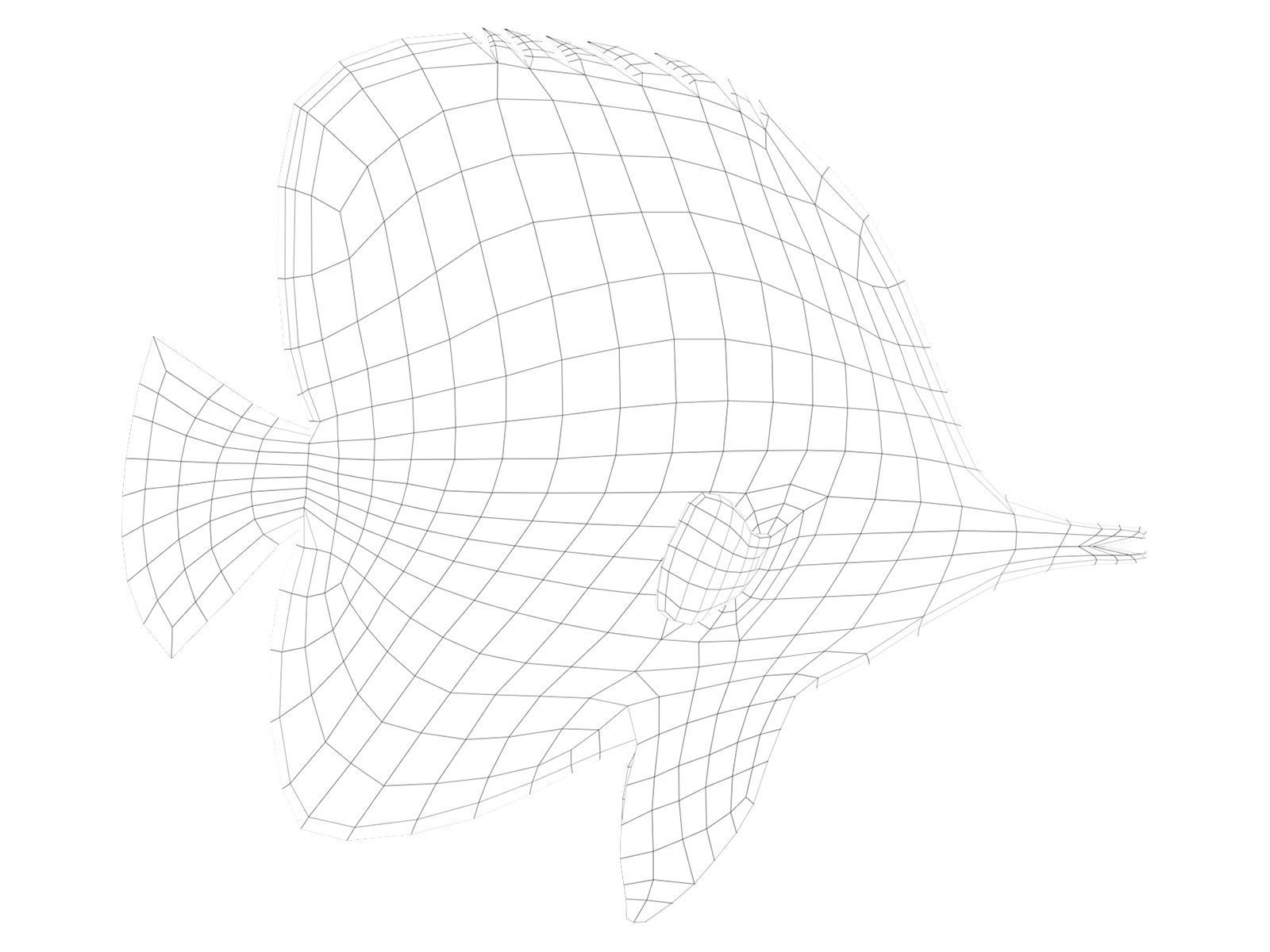 butterfly fish Low-poly 3D model_14