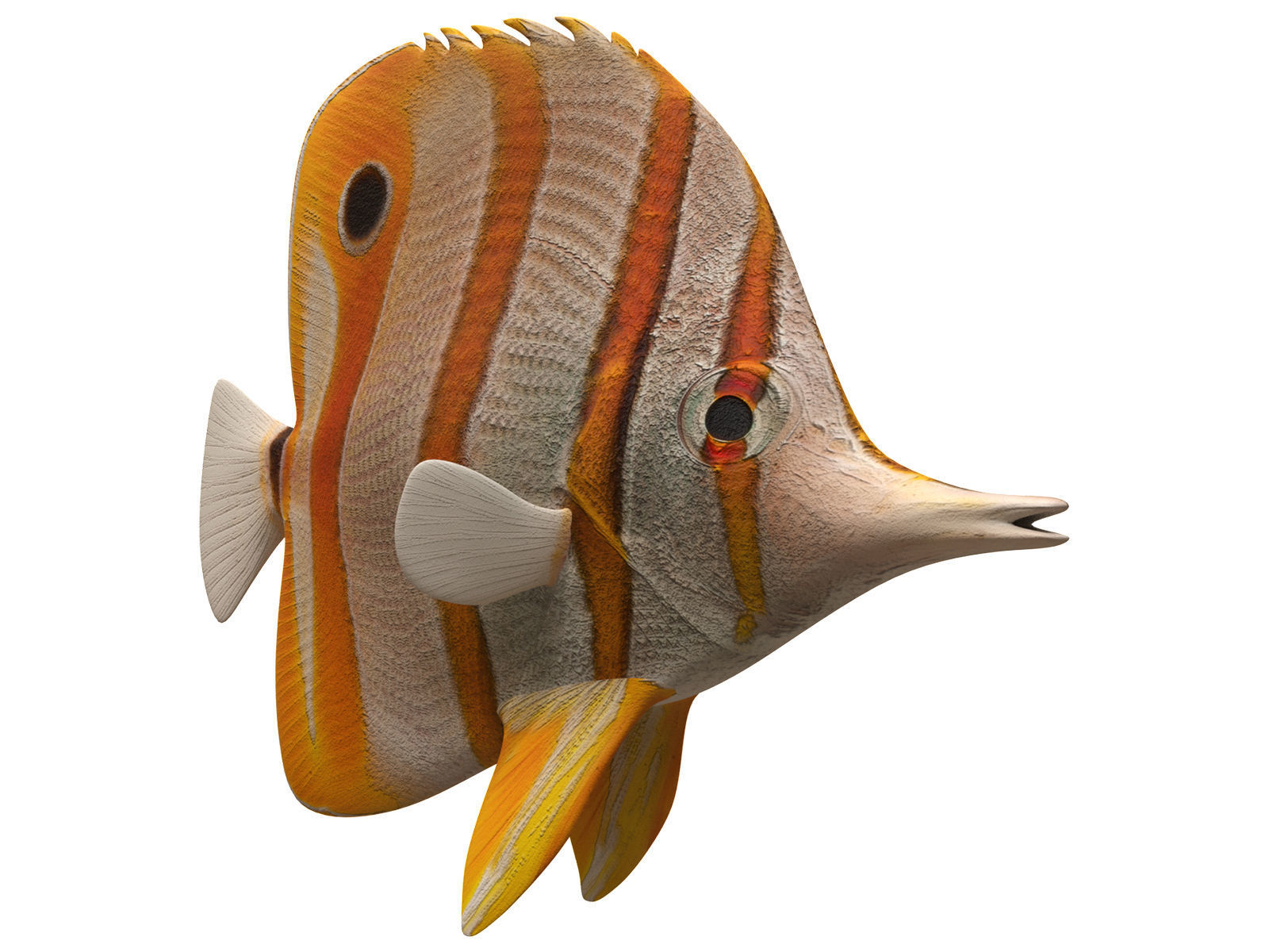 butterfly fish Low-poly 3D model_9