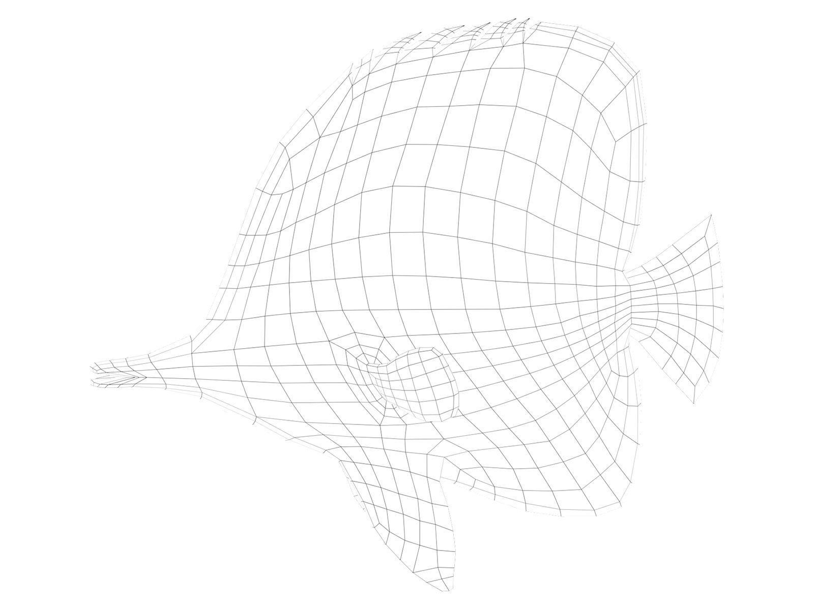 butterfly fish Low-poly 3D model_16