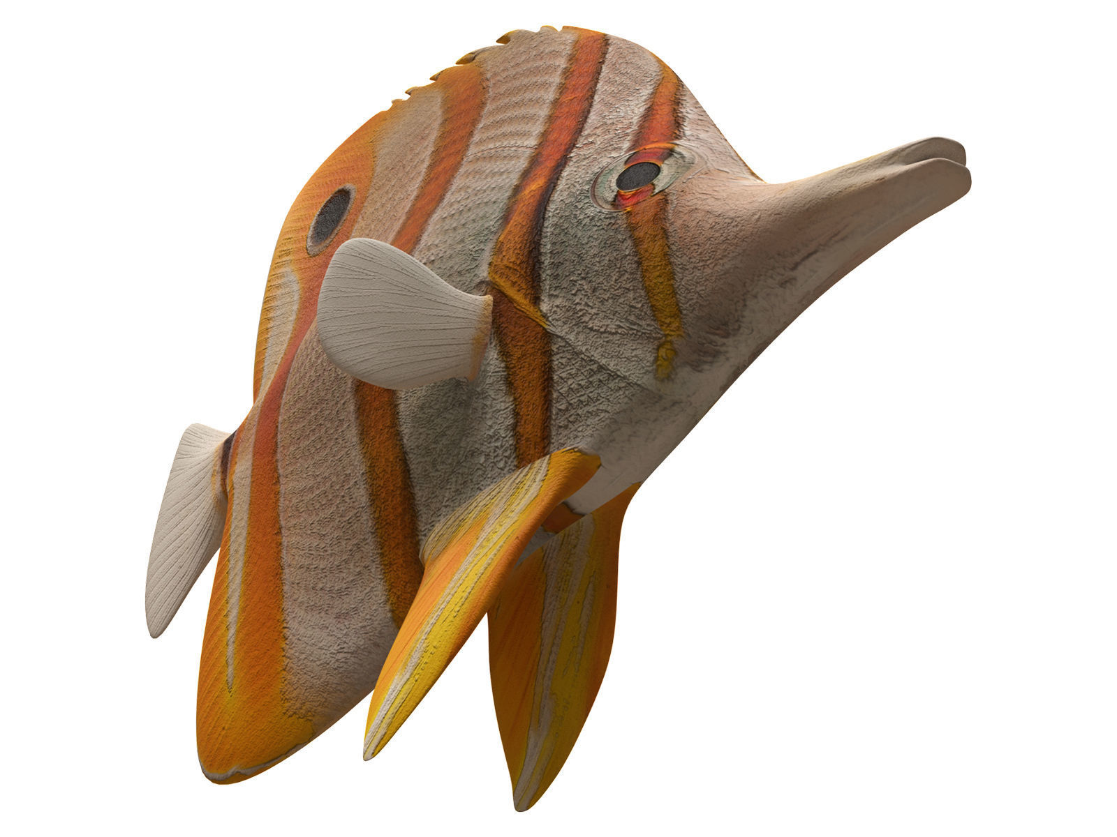 butterfly fish Low-poly 3D model_8