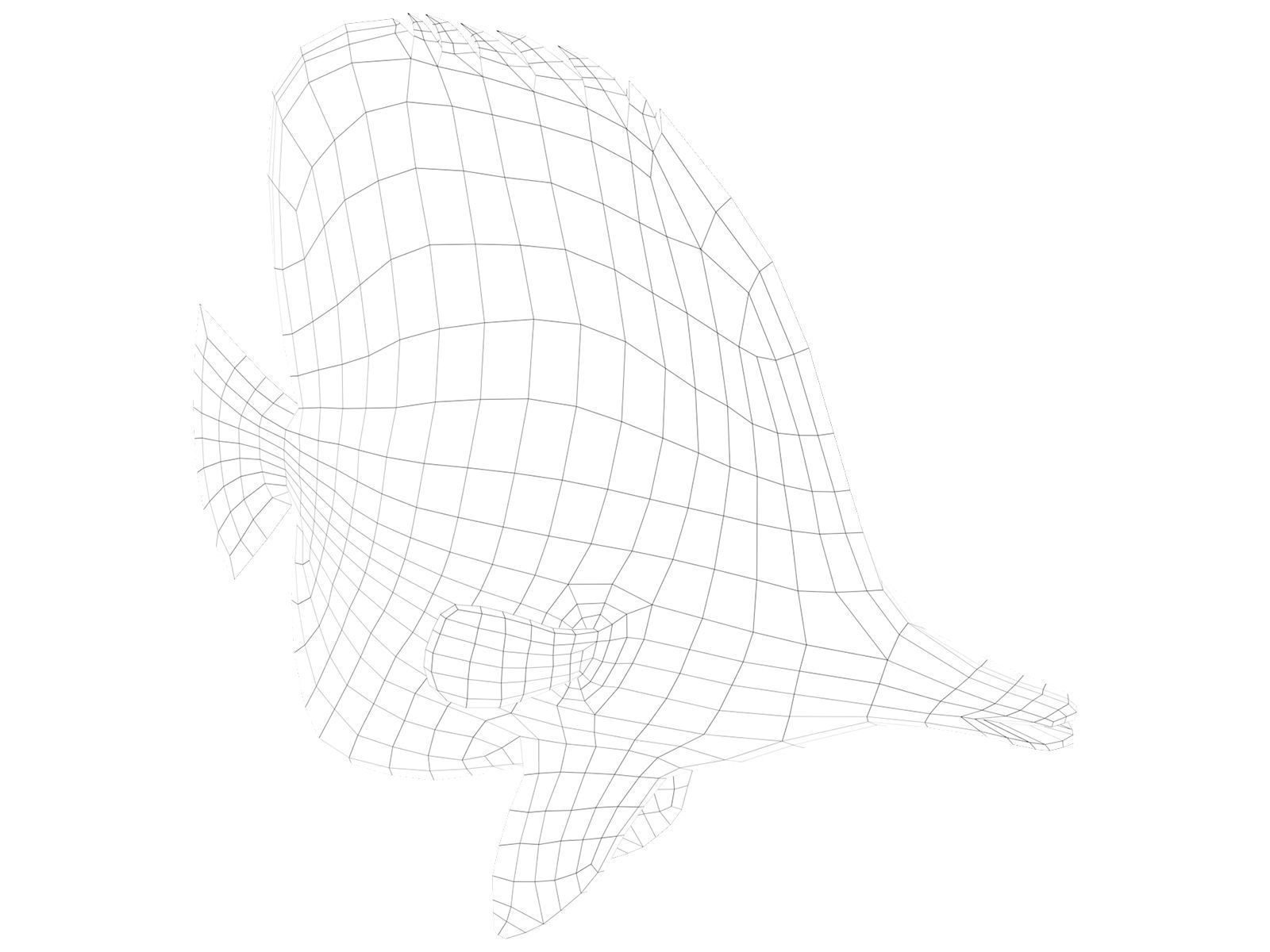 butterfly fish Low-poly 3D model_15