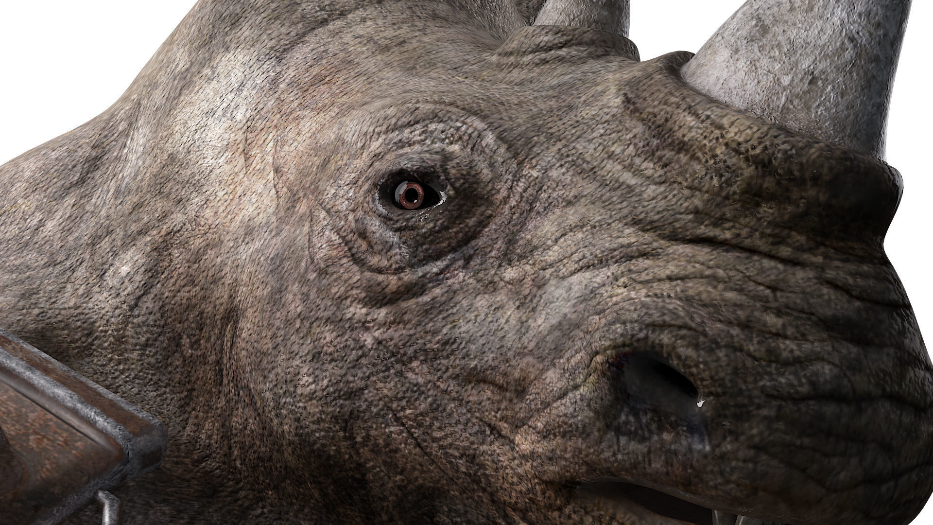 rhino warrior game character  version 2 Low-poly 3D model_4