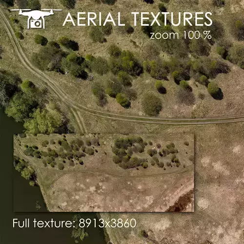 Aerial texture 221