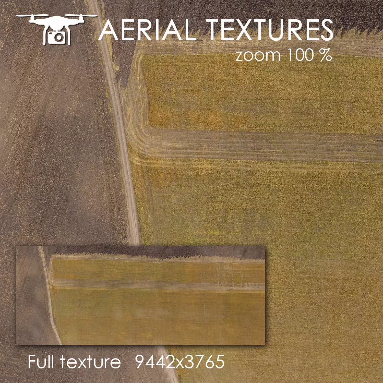 Aerial texture 150 Texture_0