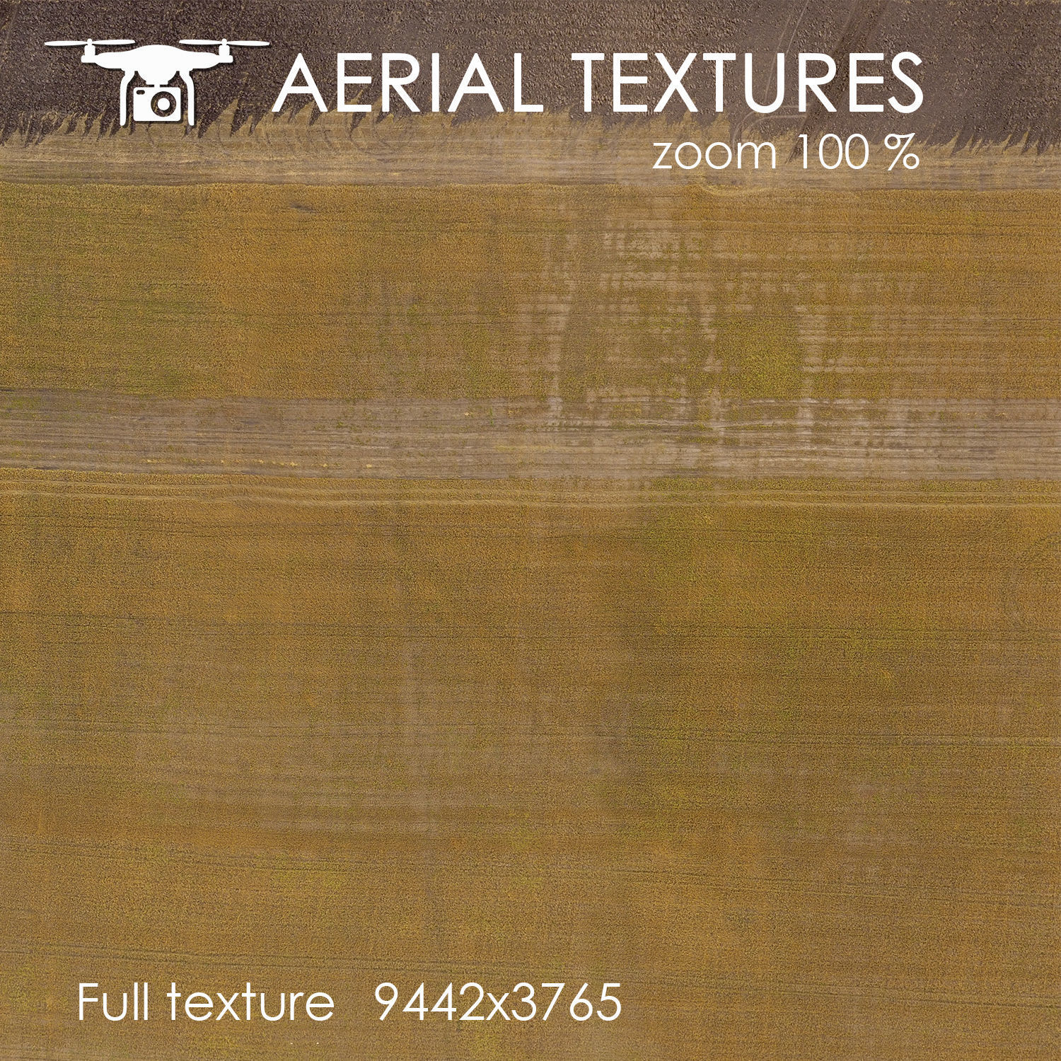 Aerial texture 150 Texture_1