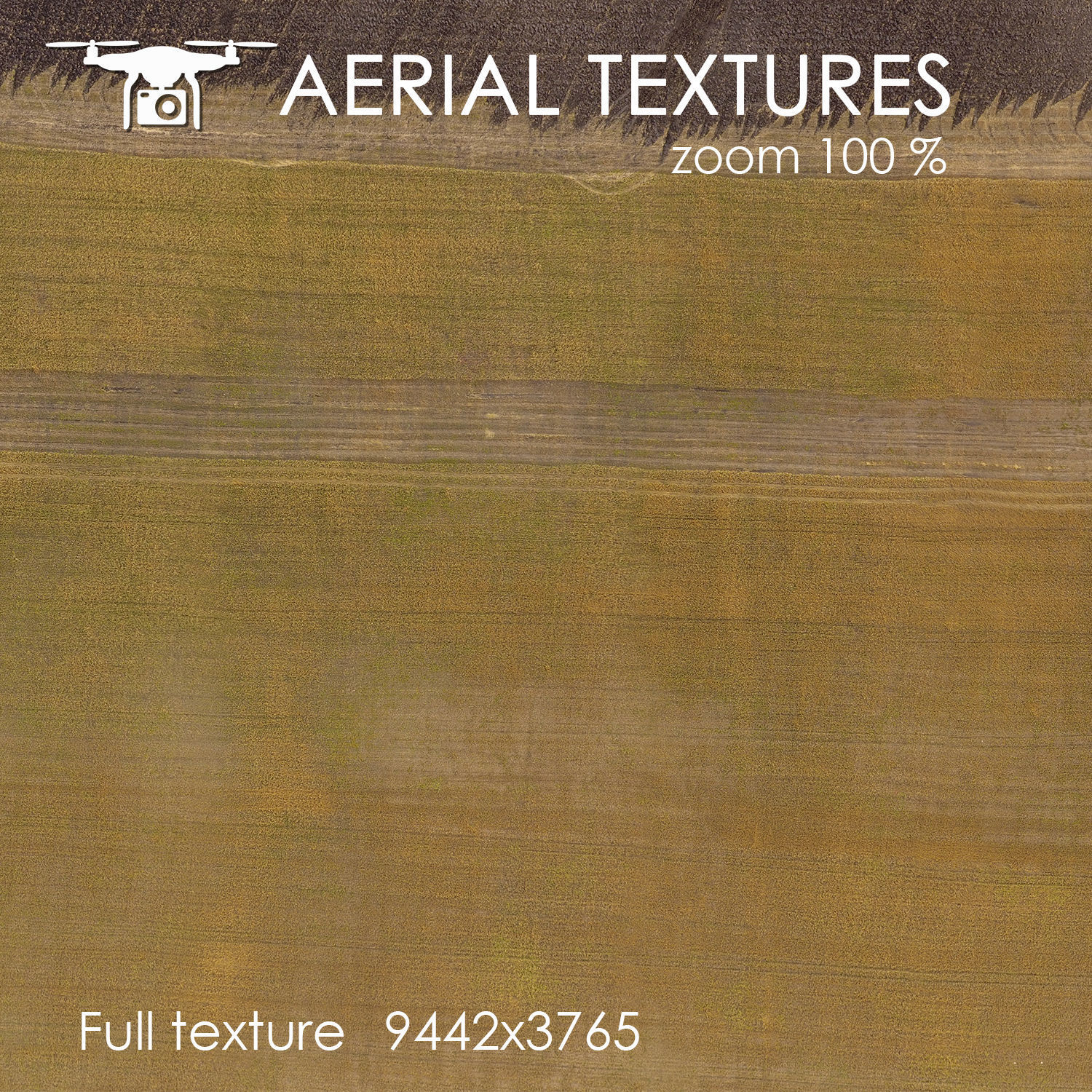 Aerial texture 150 Texture_2