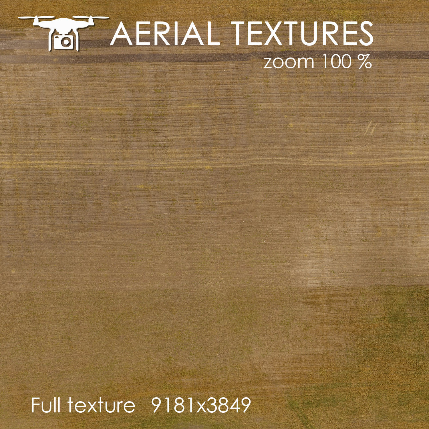 Aerial texture 141 Texture_1