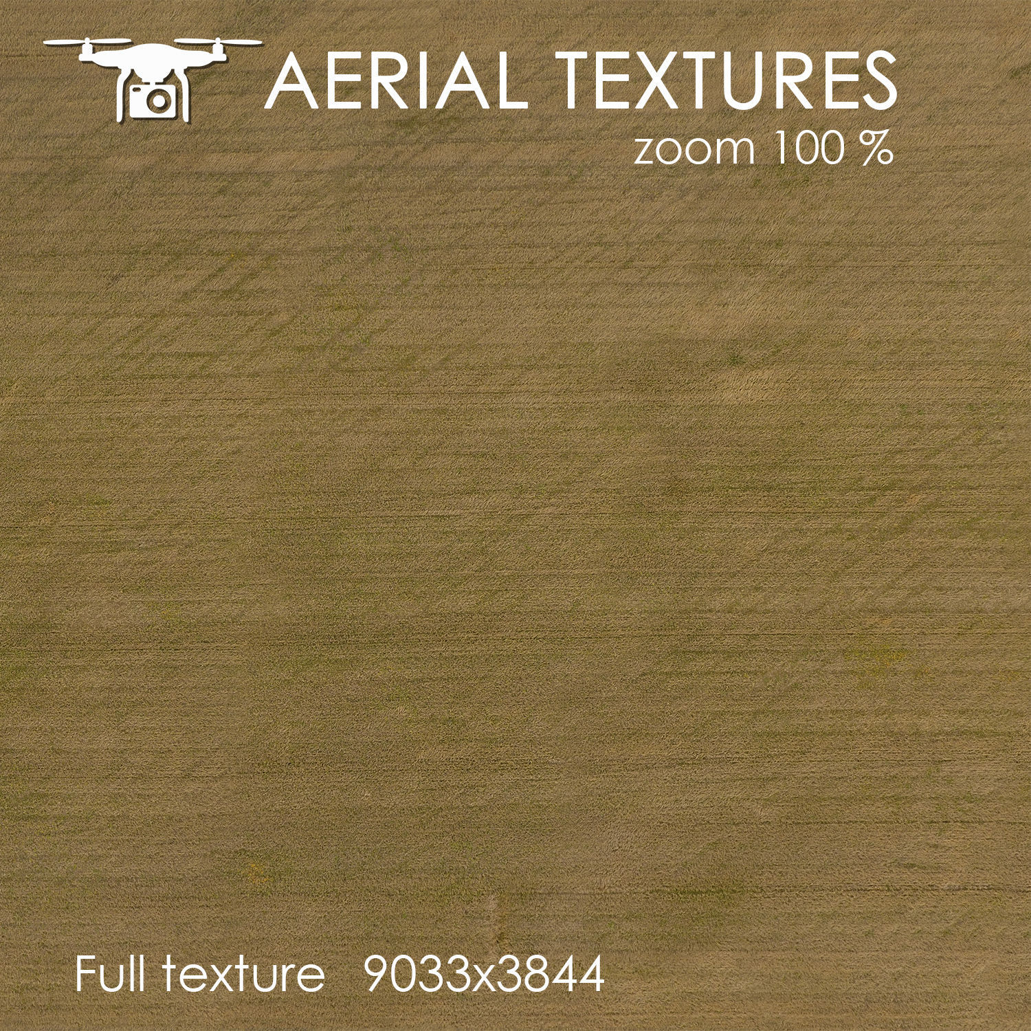 Aerial texture 129 Texture_2