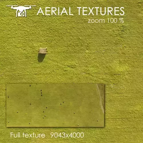 Aerial texture 117