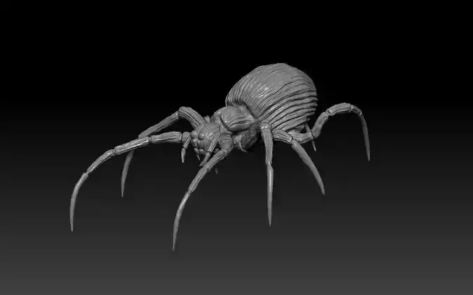 Spider 3D print model