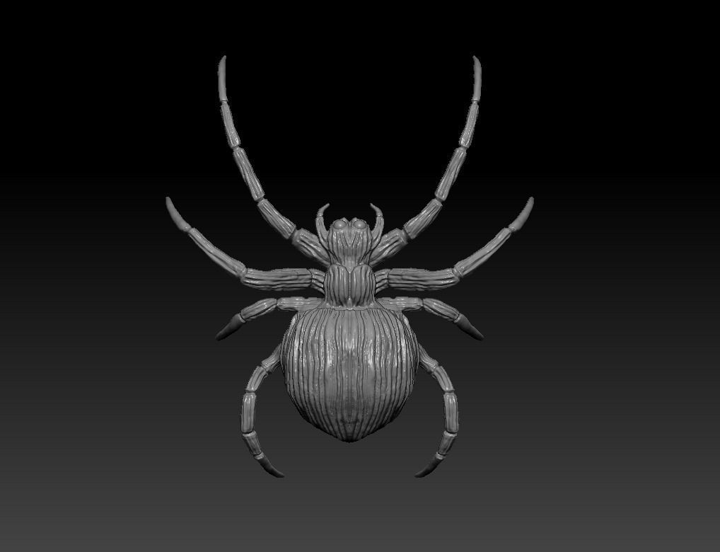 Spider 3D print model Low-poly 3D model_4
