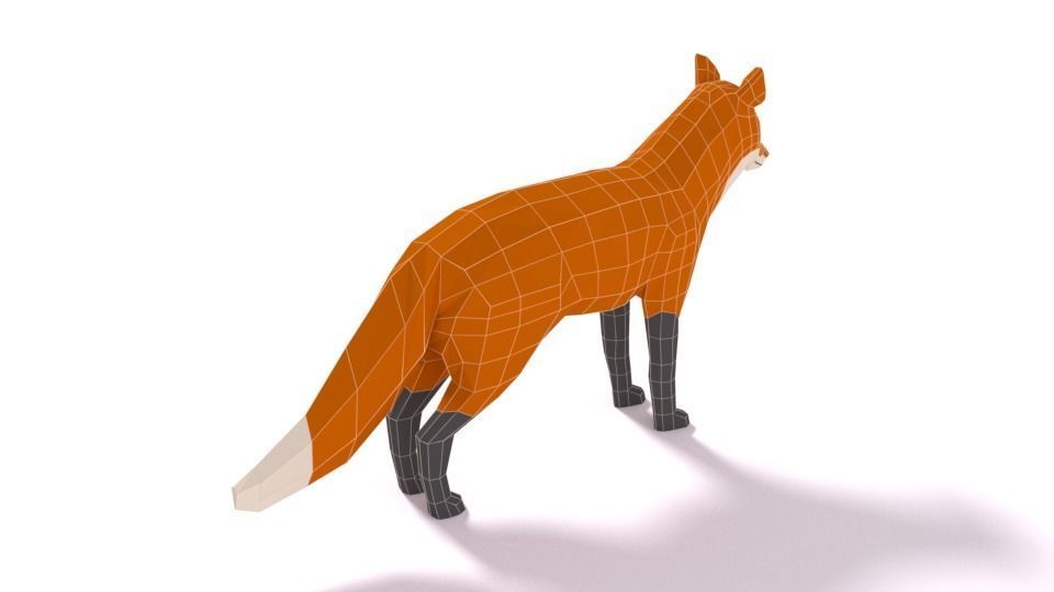 Low Poly Cartoon Fox Low-poly 3D model_11
