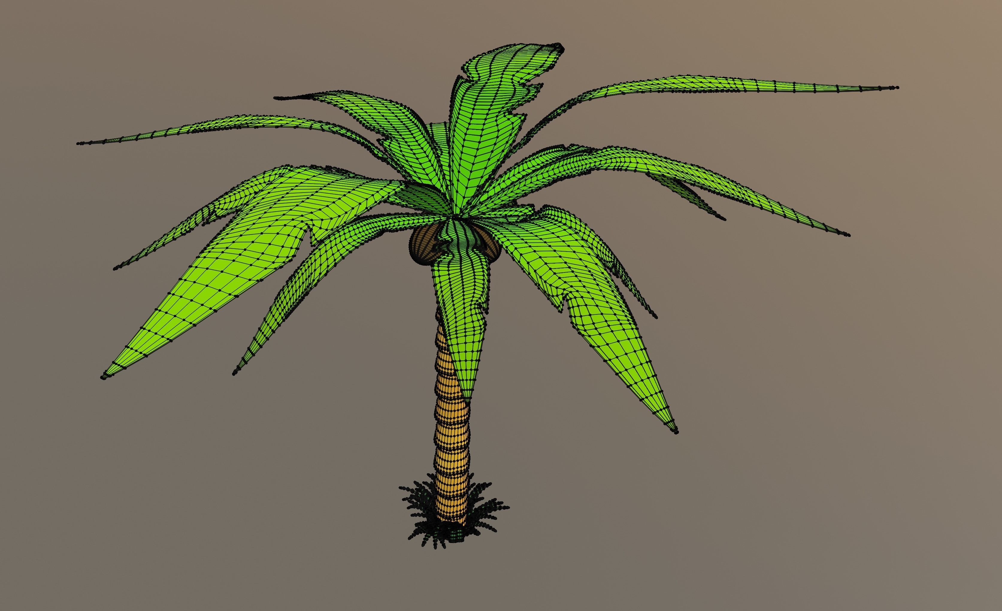 Palm Tree 3D model_12
