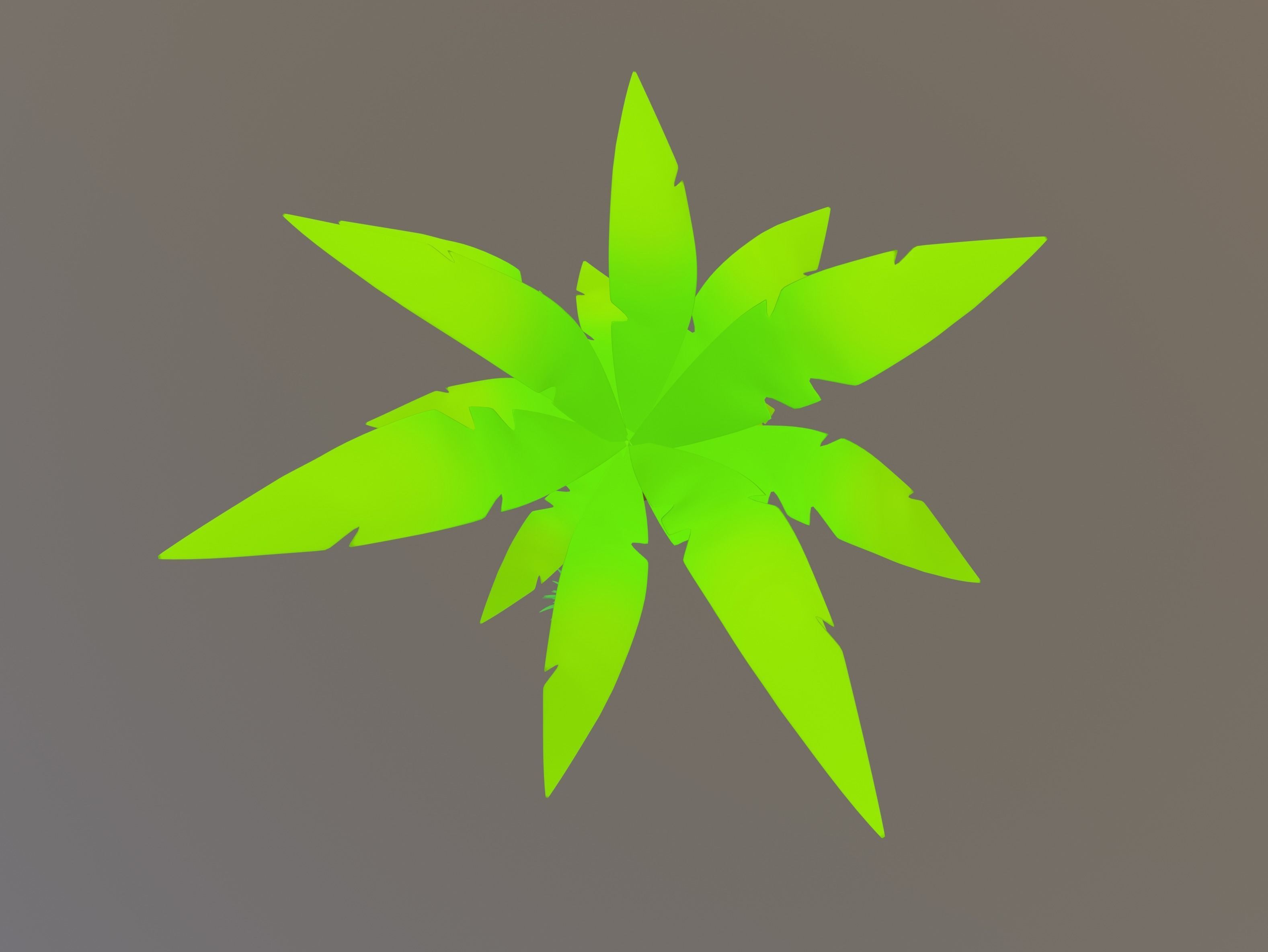 Palm Tree 3D model_7
