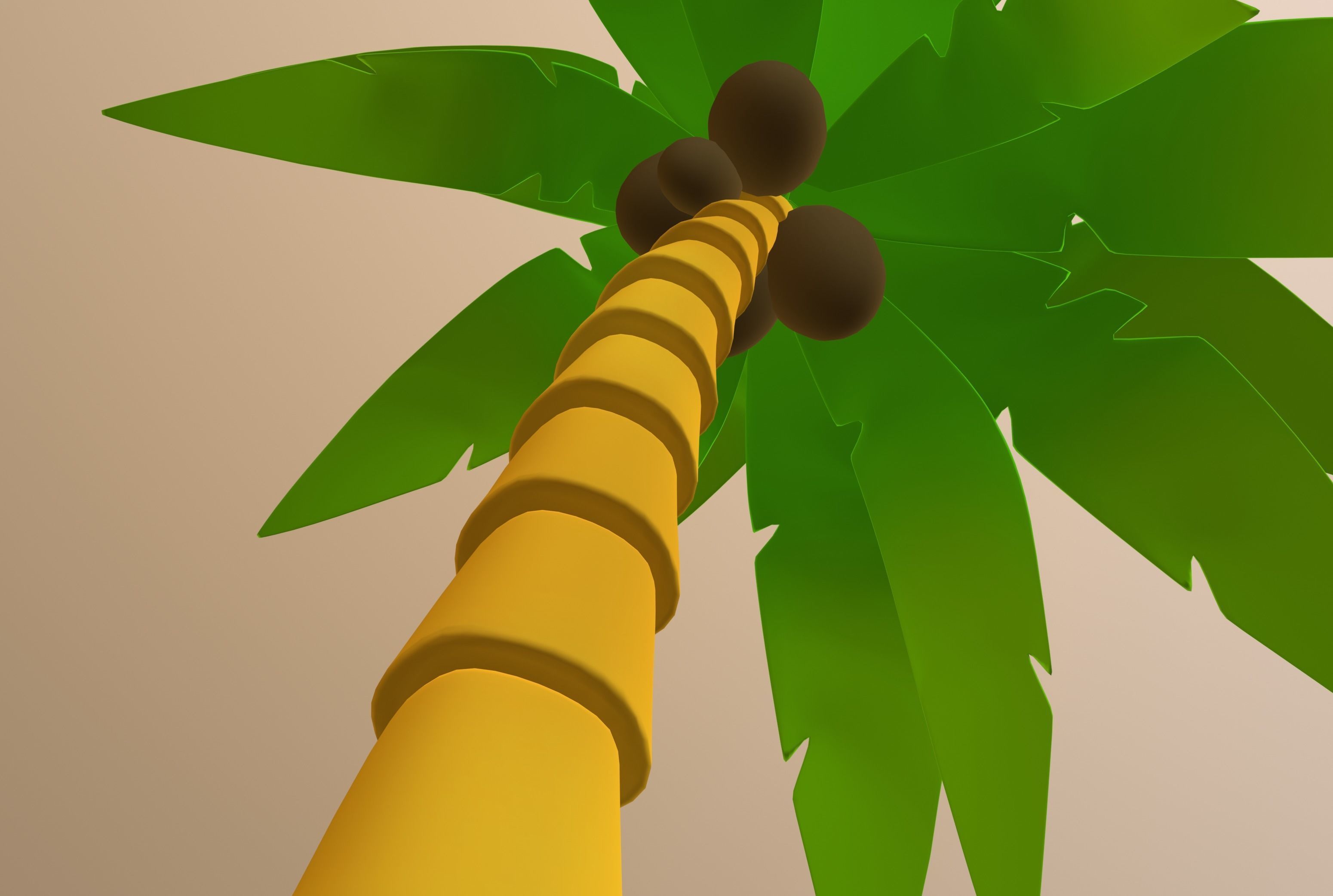 Palm Tree 3D model_9