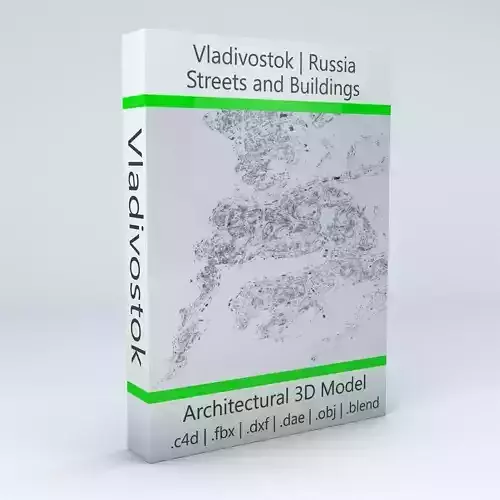 Vladivostok Streets and Buildings