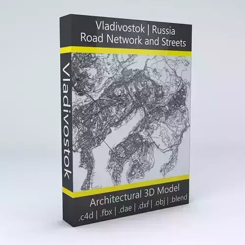 Vladivostok Road Network and Streets 3D model