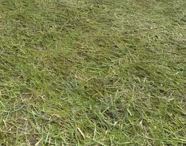 Forest Terrain Pack PBR 10