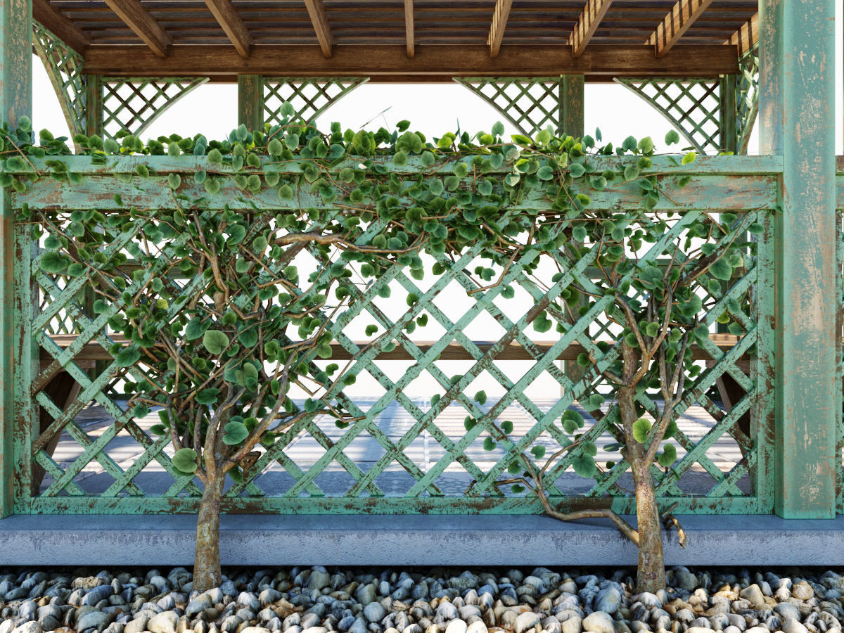 Arbor with trellis  3D model_4