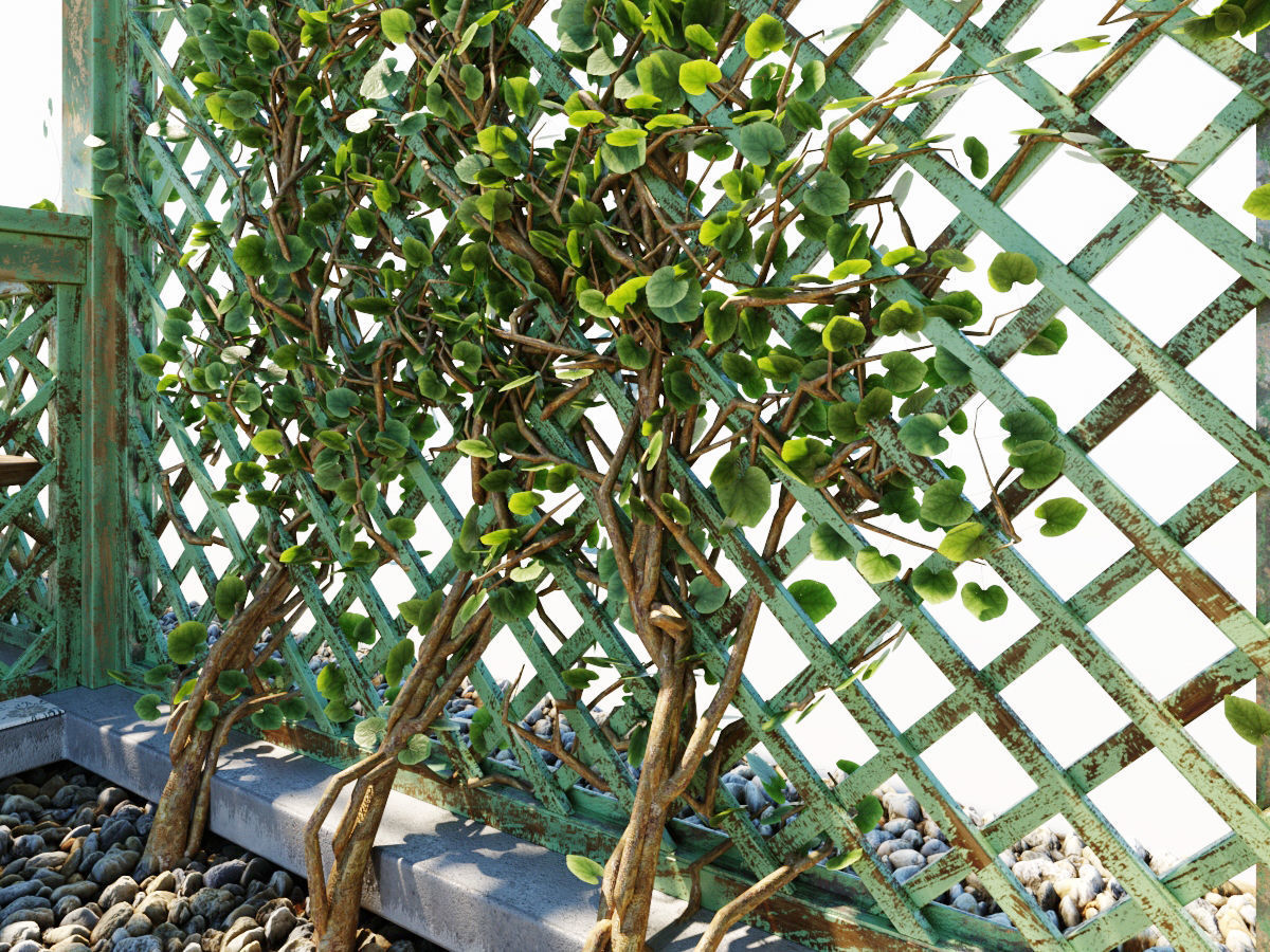 Arbor with trellis  3D model_3