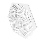 Fibonacci Coaster or Wall Decoration