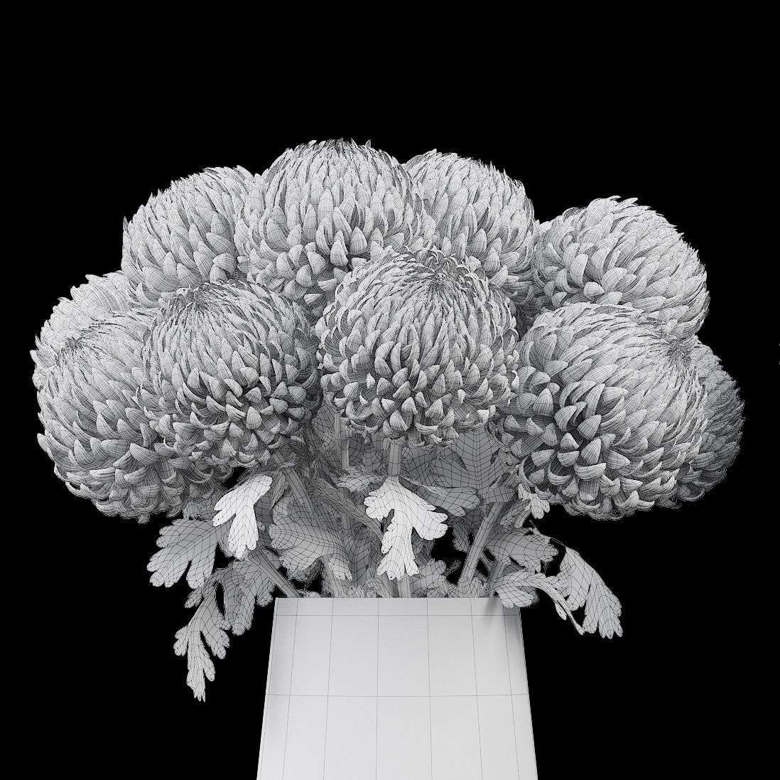 Chrysanthemum big 3D model_6