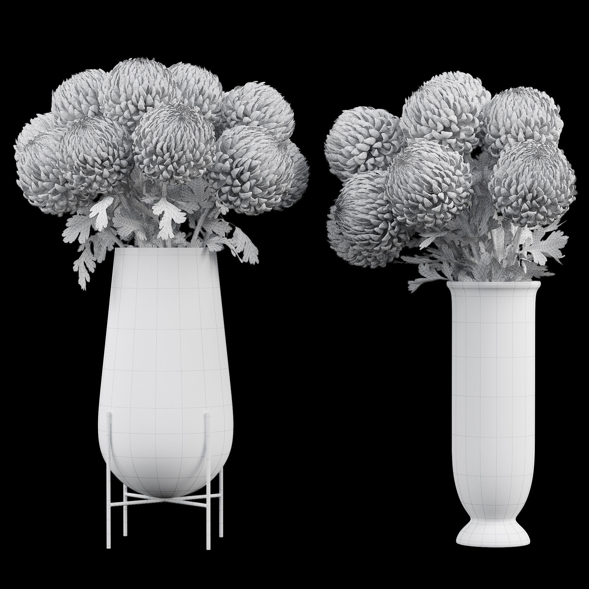 Chrysanthemum big 3D model_5