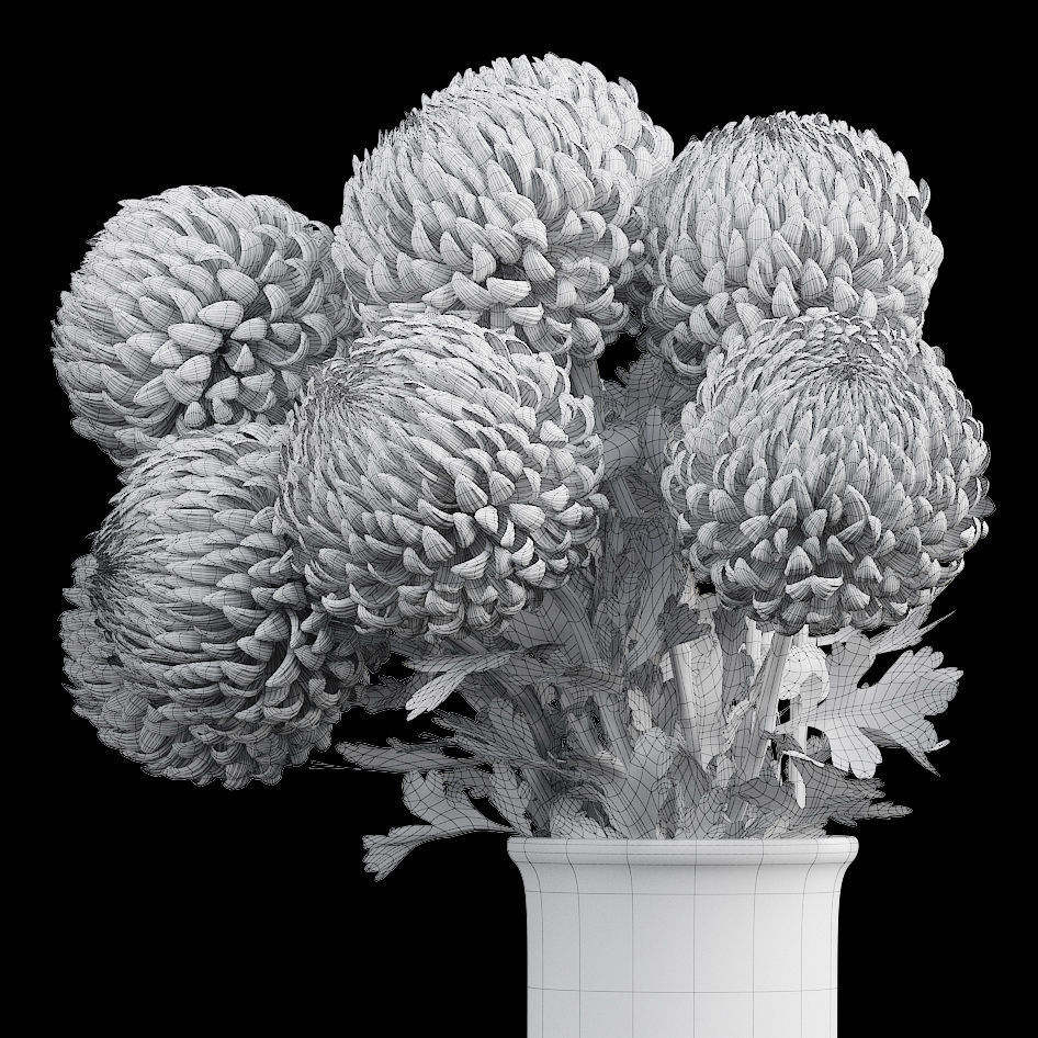 Chrysanthemum big 3D model_7