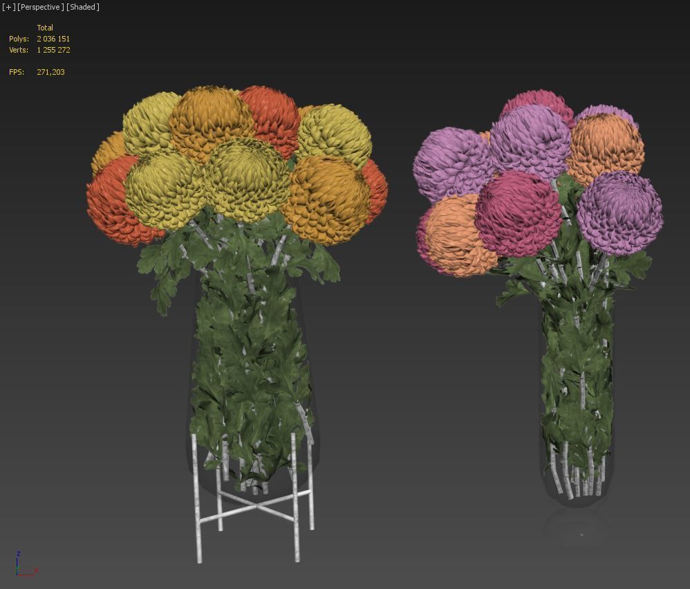 Chrysanthemum big 3D model_8