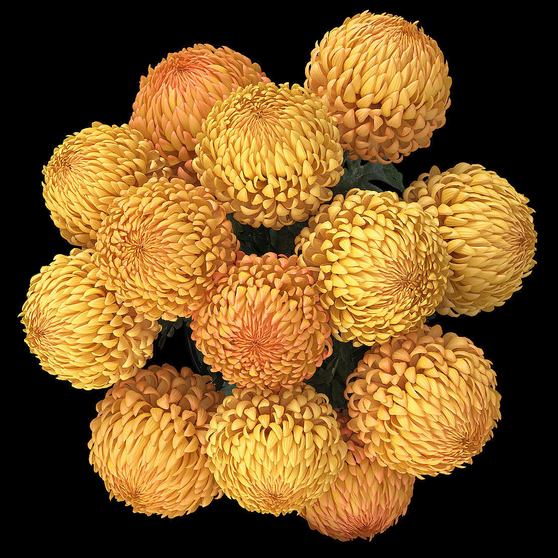 Chrysanthemum big 3D model_2