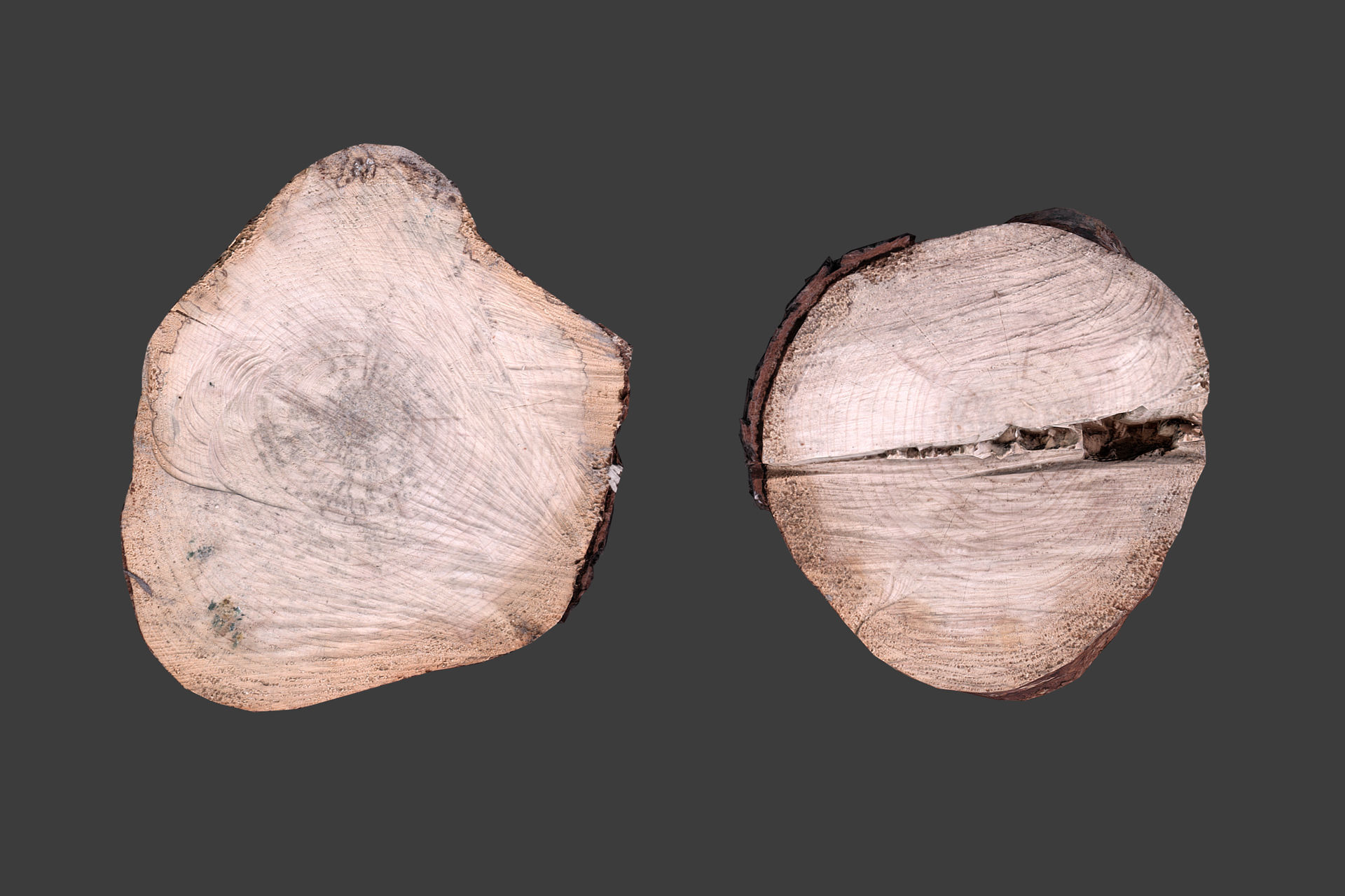 Wooden Stump Low-poly 3D model_8